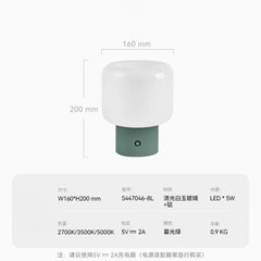 Modern Colorful Table Lamp with Touch Switch USB Charging Battery