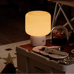 Modern Colorful Table Lamp with Touch Switch USB Charging Battery
