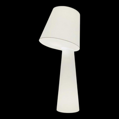 Floor Lamps