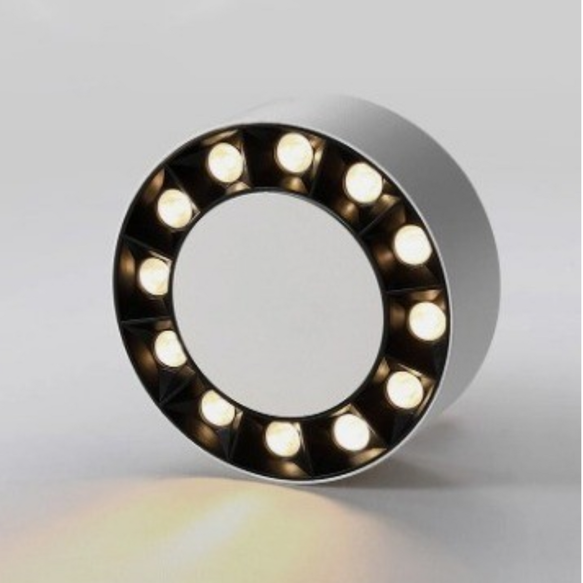 Ceiling Lamps