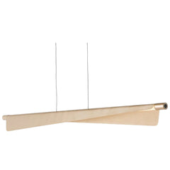 Pendant Lamps
