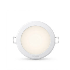 Ceiling Lamps