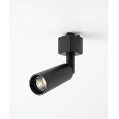 Ceiling Lamps
