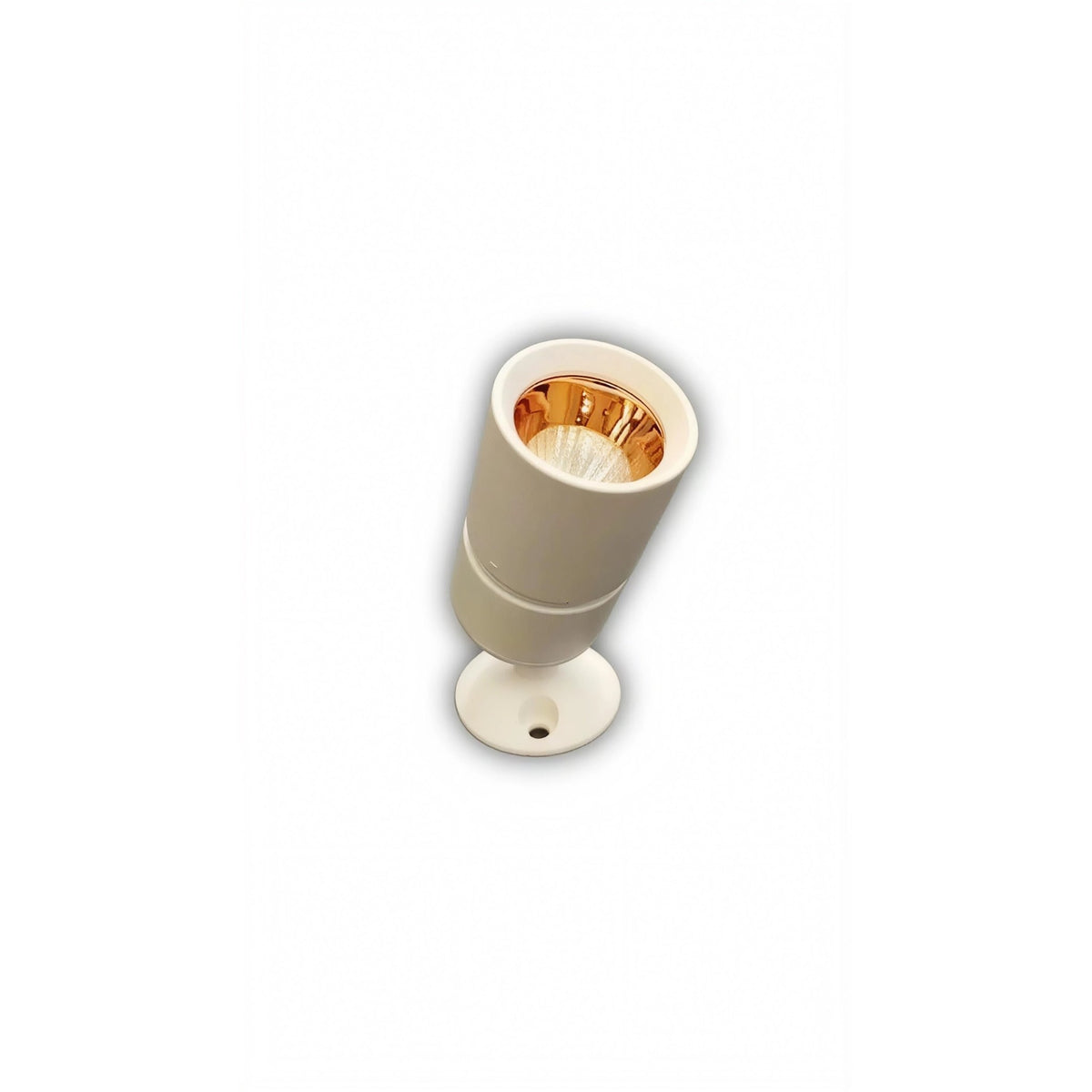 Ceiling Lamps