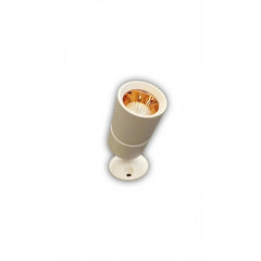 Ceiling Lamps