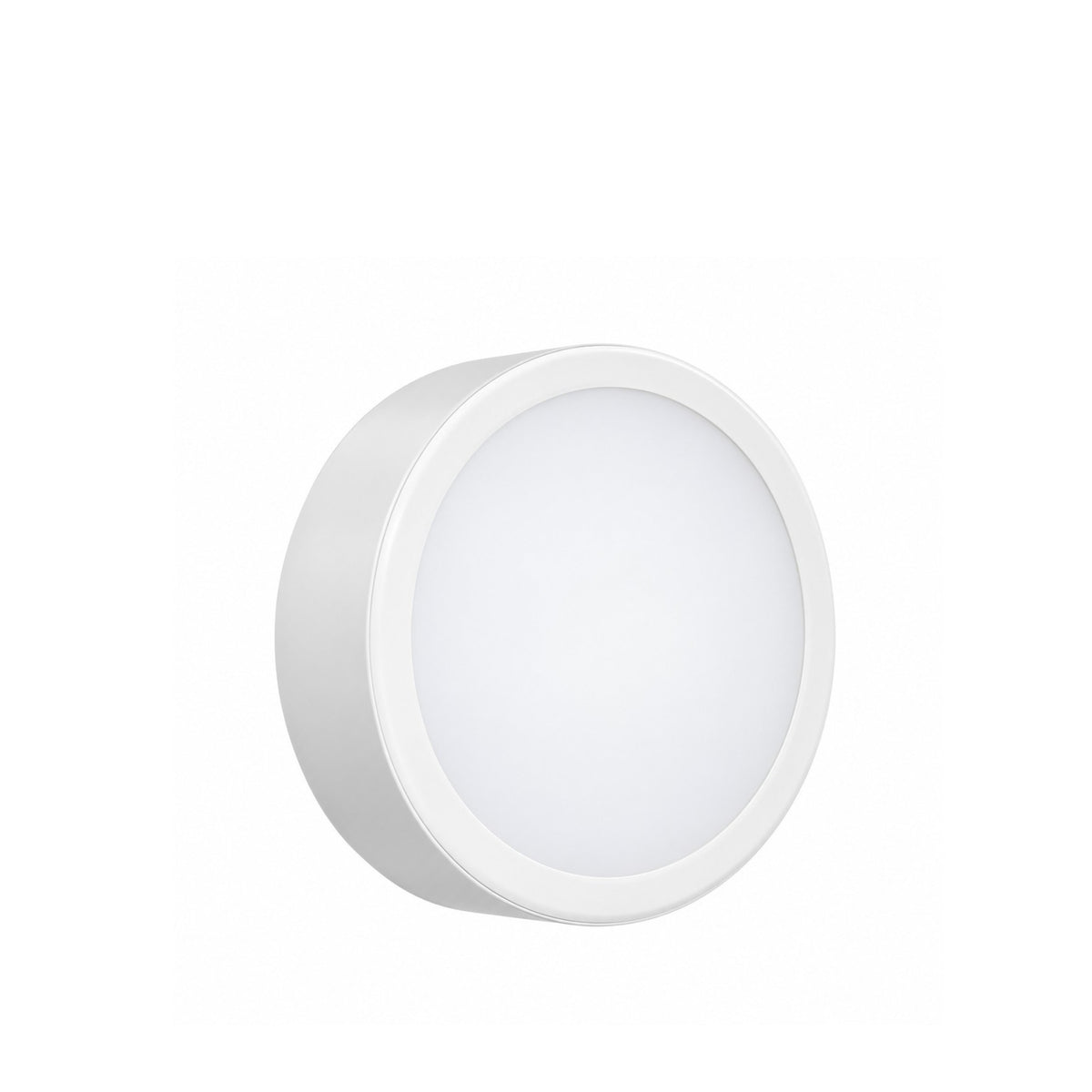 Ceiling Lamps