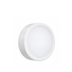 Ceiling Lamps