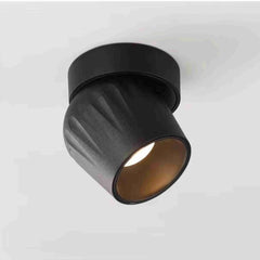 Ceiling Lamps