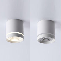 Ceiling Lamps